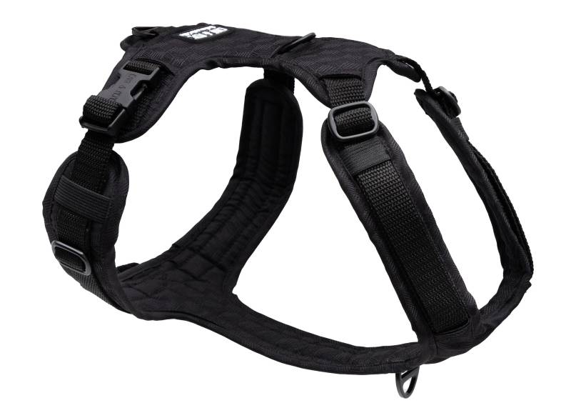 Hundegeschirr Fröhliches Schwarz XS/S Hundegeschirr Fröhliches Schwarz XS/S
