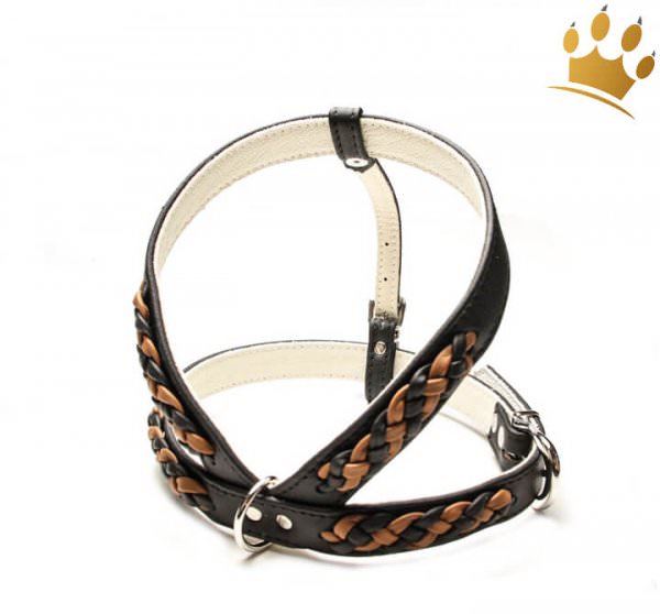 Hundegeschirr Leder Empire Double Schwarz-Cognac