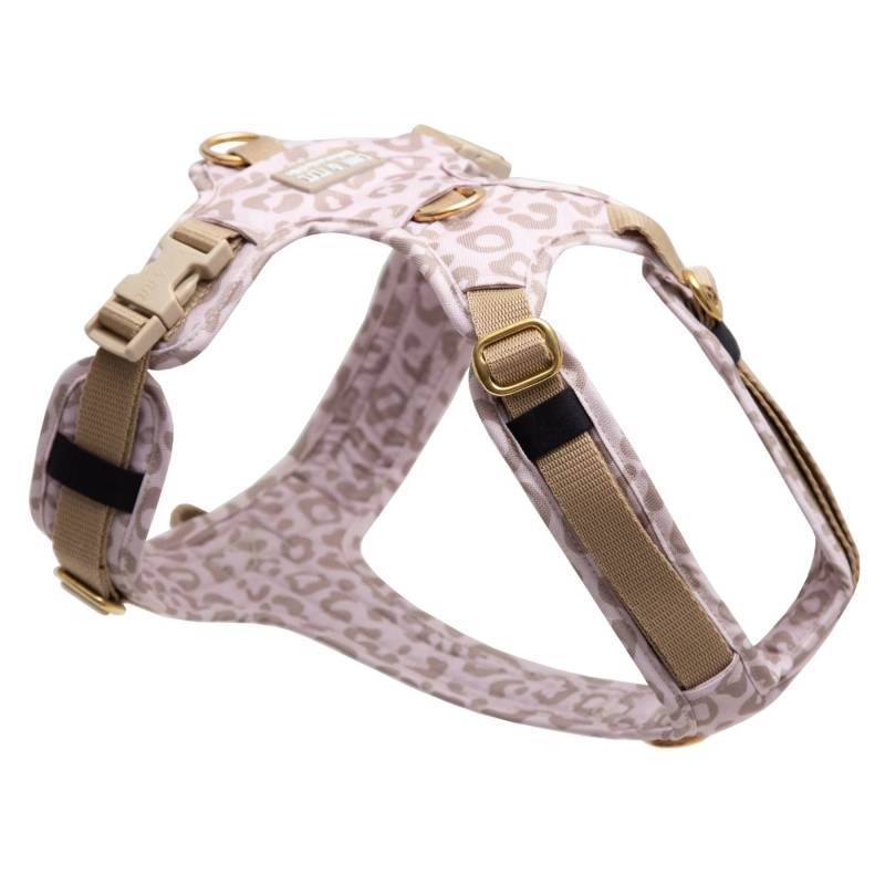 Hundegeschirr Leo Creme XXS von EMMY&PEPE