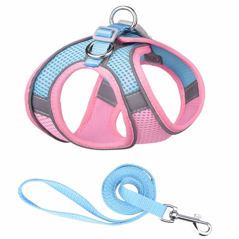 Hundegeschirr f?r mittelgro?e Hunde pink-blau - L