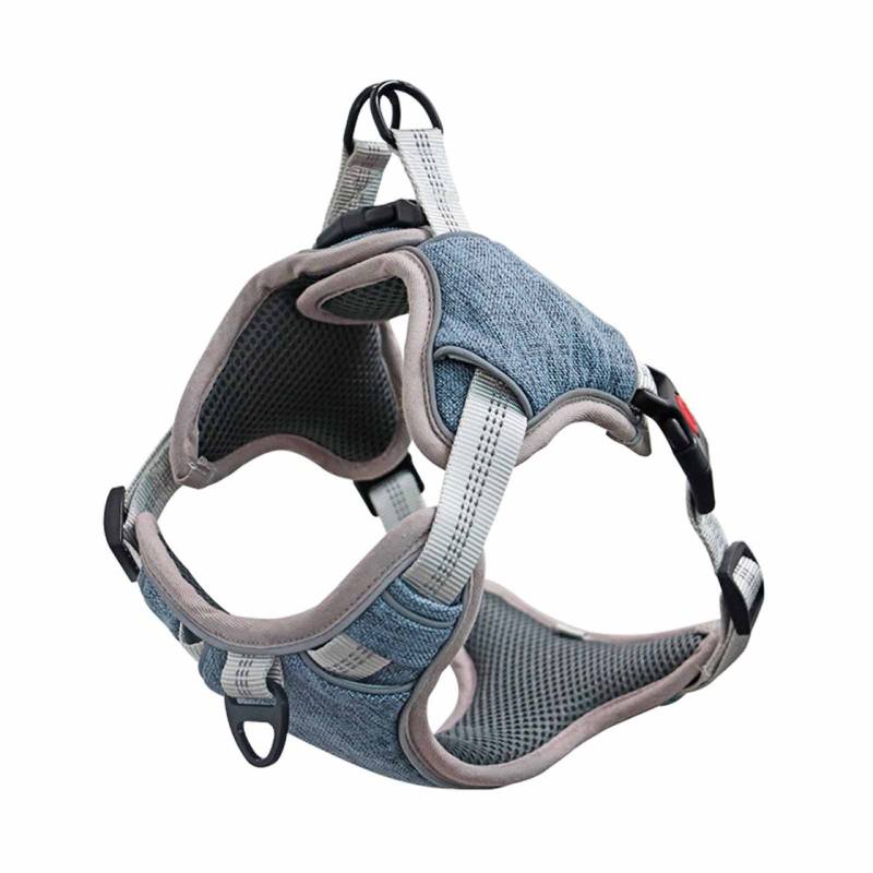 Hundegeschirr gepolstert blau - XL