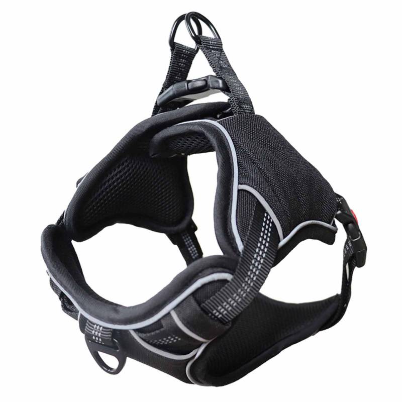 Hundegeschirr gepolstert schwarz - XL