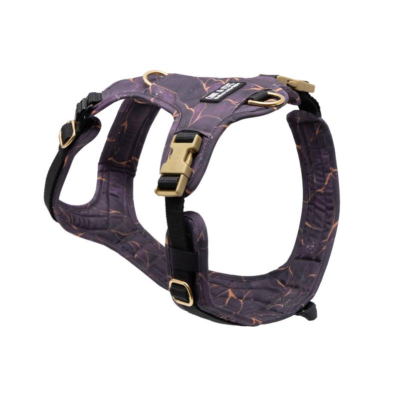 Hundegeschirr mit Halsöffnung Golden Plum S
