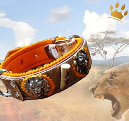 Hundehalsband African Lionhunter Hundehalsband African Lionhunter