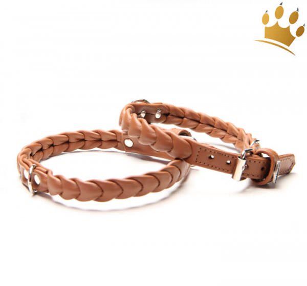 Hundehalsband Ascot Petit Cognac