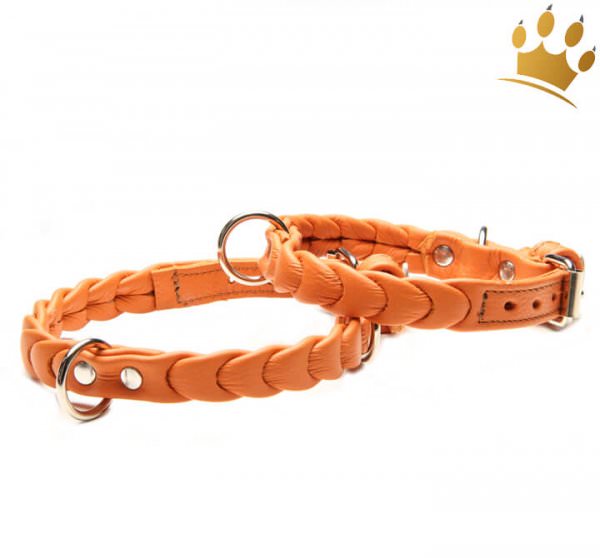 Hundehalsband Ascot Petit Orange