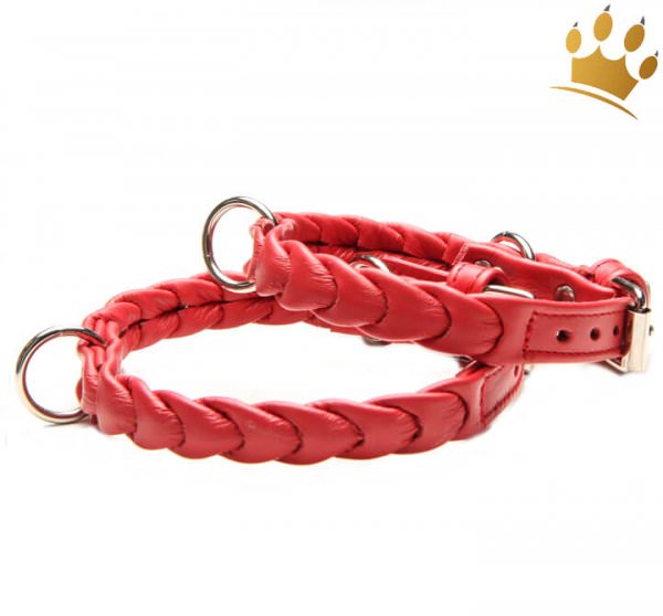 Hundehalsband Ascot Petit Rot