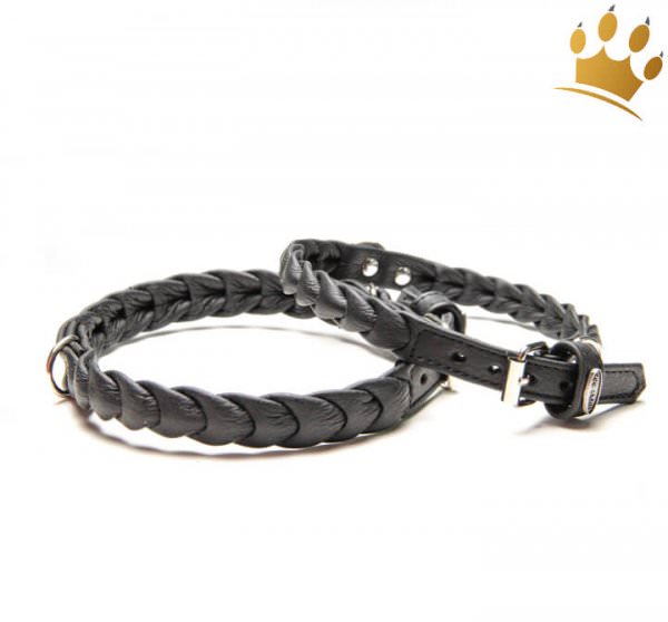 Hundehalsband Ascot Petit Schwarz