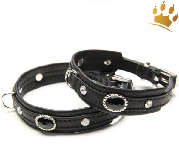Hundehalsband Black Thunder Hundehalsband Black Thunder