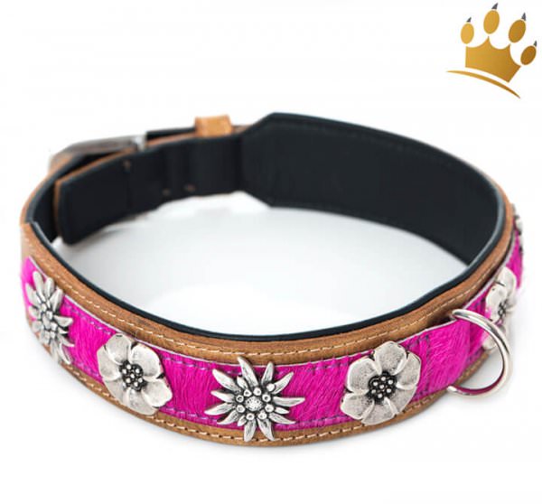 Hundehalsband Blütenmeer Pink