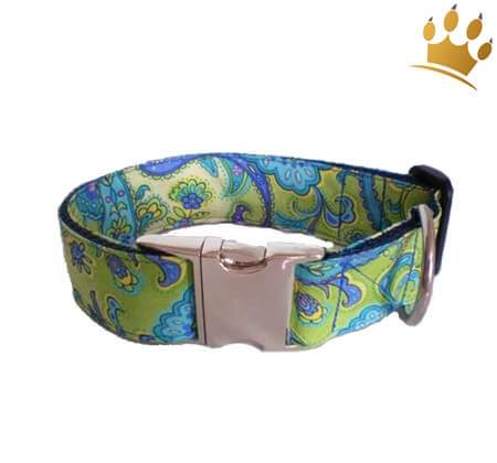 Hundehalsband Carnaby Hundehalsband Carnaby