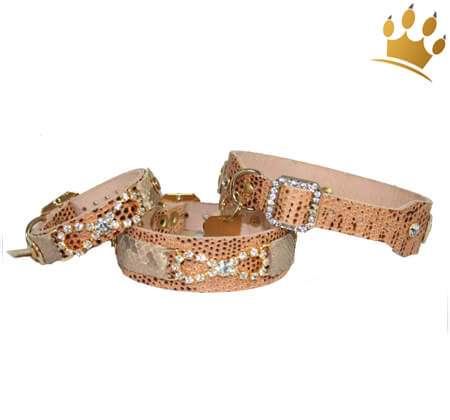 Hundehalsband Cayetana Snake