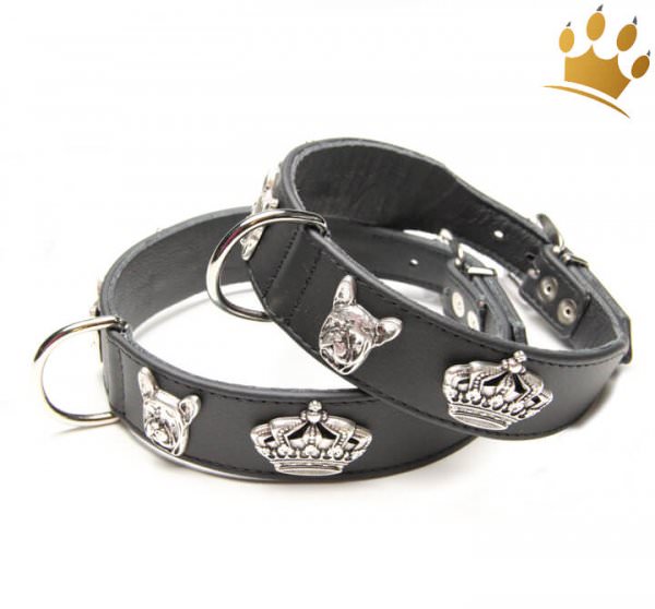 Hundehalsband Crazy französich Bully Schwarz