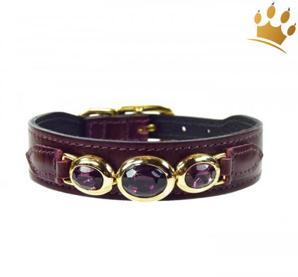 Hundehalsband Dakhla Bordeaux vergoldet