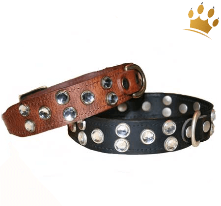 Hundehalsband Diamonds are forever cognac