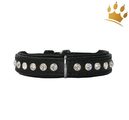 Hundehalsband Extreme Black 15mm