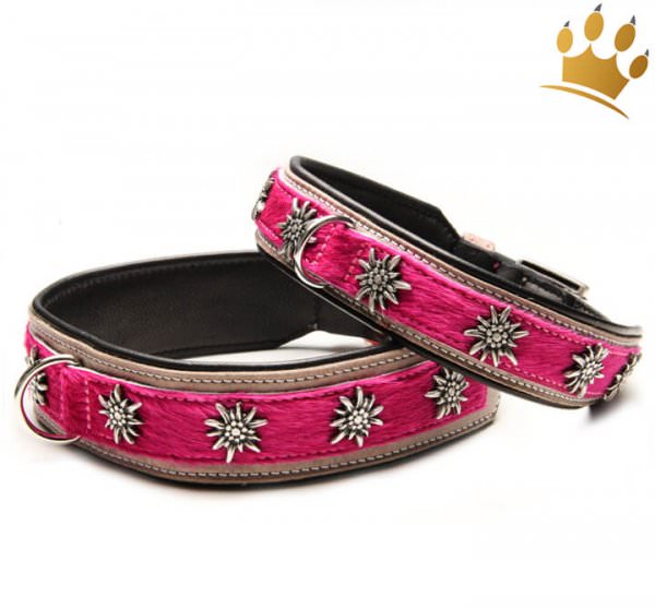 Hundehalsband Gipfelstürmer Pink Hundehalsband Gipfelstürmer Pink