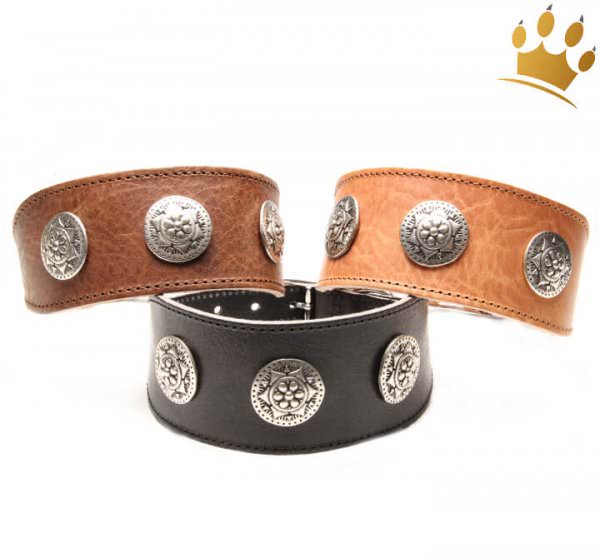 Hundehalsband Greyhound Pigall