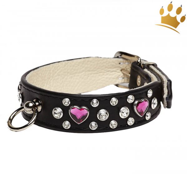 Hundehalsband Heartbreaker Miami Schwarz