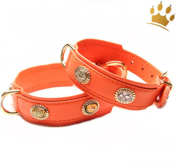 Hundehalsband Ibiza 80 Orange