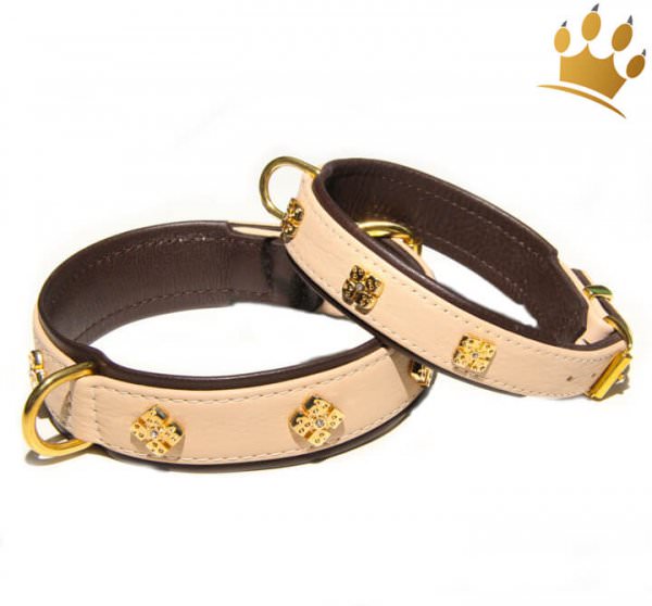 Hundehalsband Kairo Royal Elfenbein Hundehalsband Kairo Royal Elfenbein