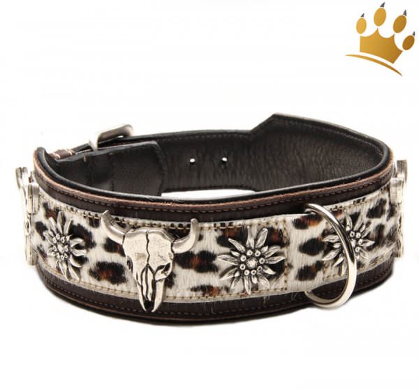 Hundehalsband Leder Wild Leo