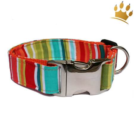 Hundehalsband Lolly Pop