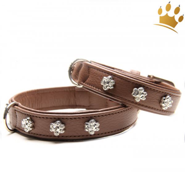 Hundehalsband Luxury Paw Braun