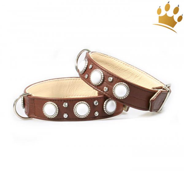 Hundehalsband Malaga Braun