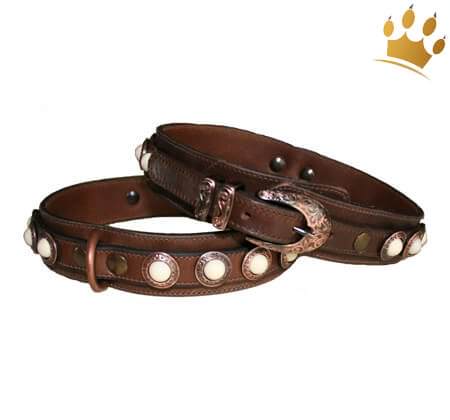 Hundehalsband Molina