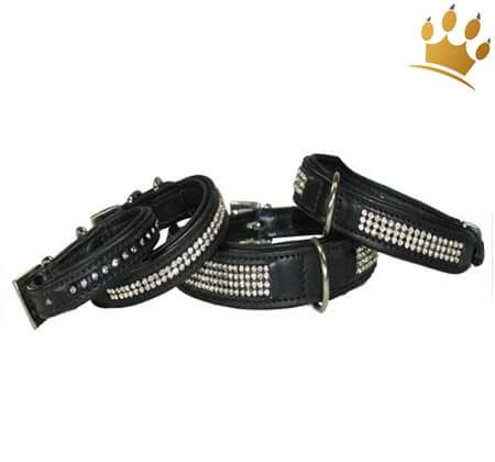 Hundehalsband Mon Bijou