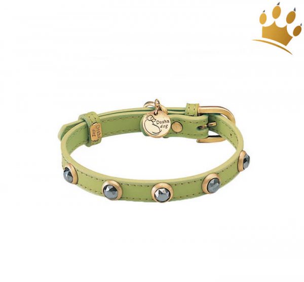 Hundehalsband Petite Appelgreen