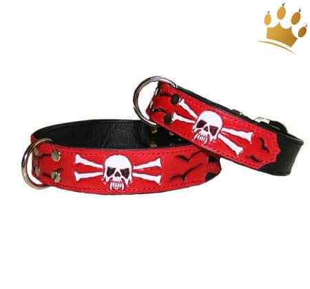 Hundehalsband Pirat Skull