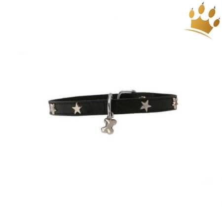 Hundehalsband Silverstar Black