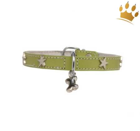 Hundehalsband Silverstar Pistazie