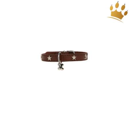 Hundehalsband Silverstars Braun