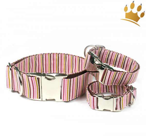 Hundehalsband Spot on Pink