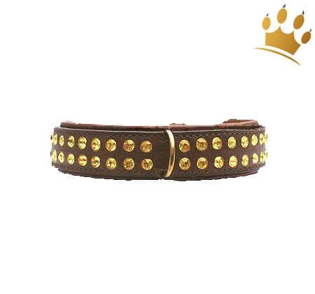 Hundehalsband St.Tropez Braun 30mm