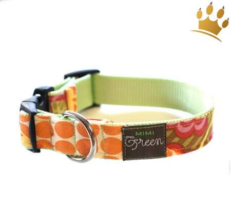 Hundehalsband Tangerine