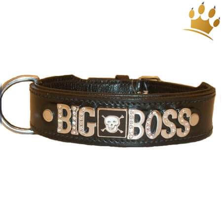 Hundehalsband The Big Boss