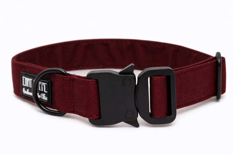Hundehalsband Velvet Safety - 39-64 cm Hundehalsband Velvet Safety - 39-64 cm von EMMY&PEPE