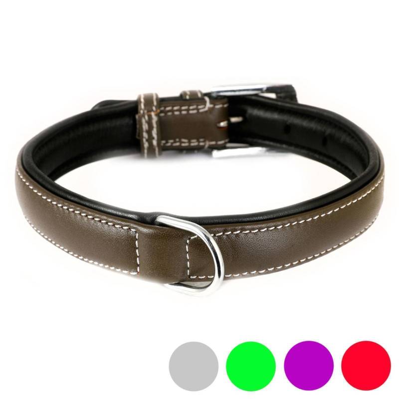 Hundehalsband aus Leder braun gepolstert XS-S