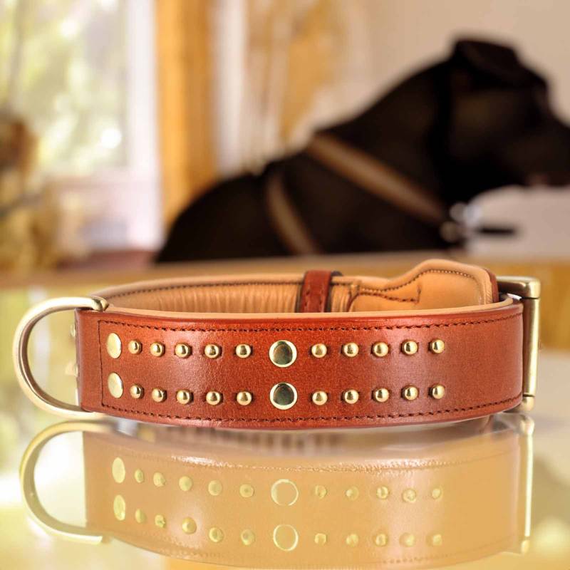 Hundehalsband aus Leder braun mit Nieten L