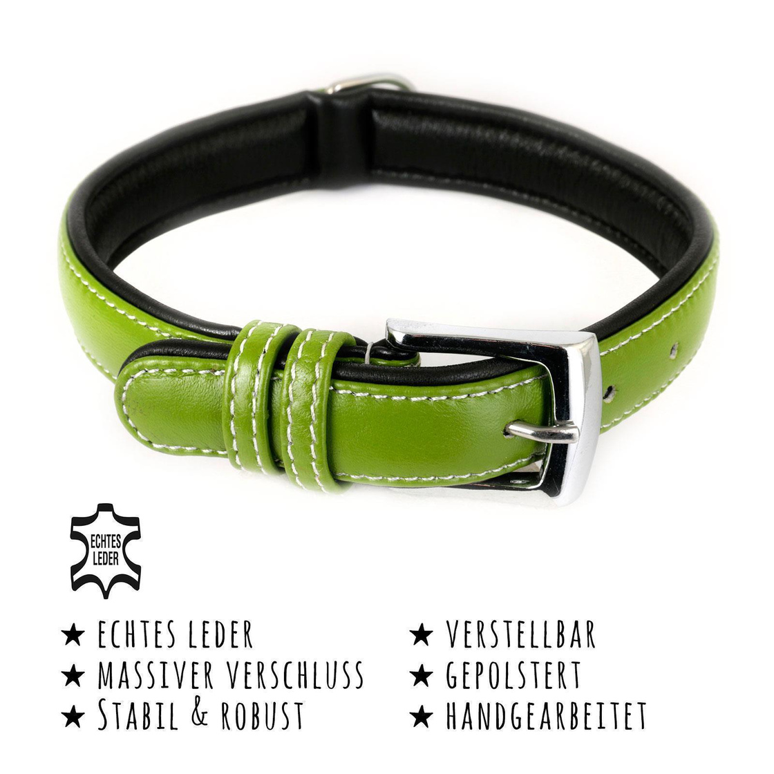 Hundehalsband aus Leder gr?n gepolstert S
