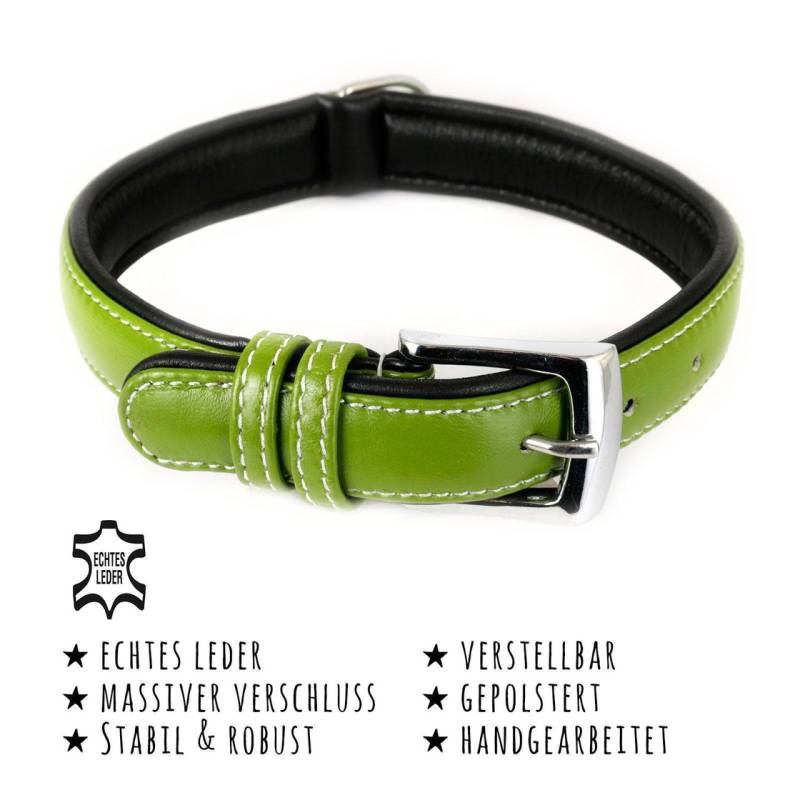 Hundehalsband aus Leder gr?n gepolstert XS-S