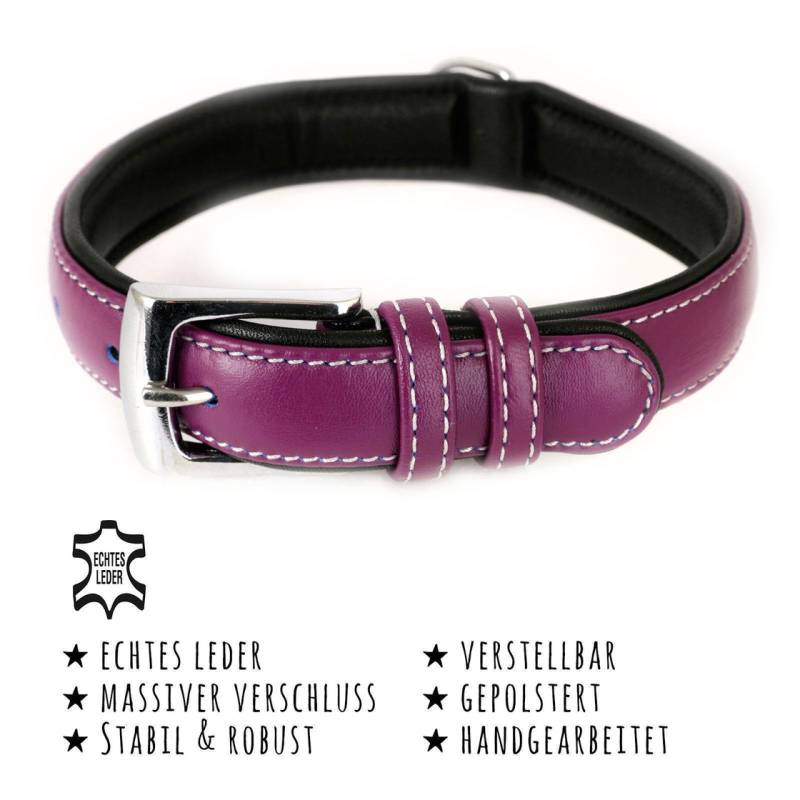 Hundehalsband aus Leder lila gepolstert S
