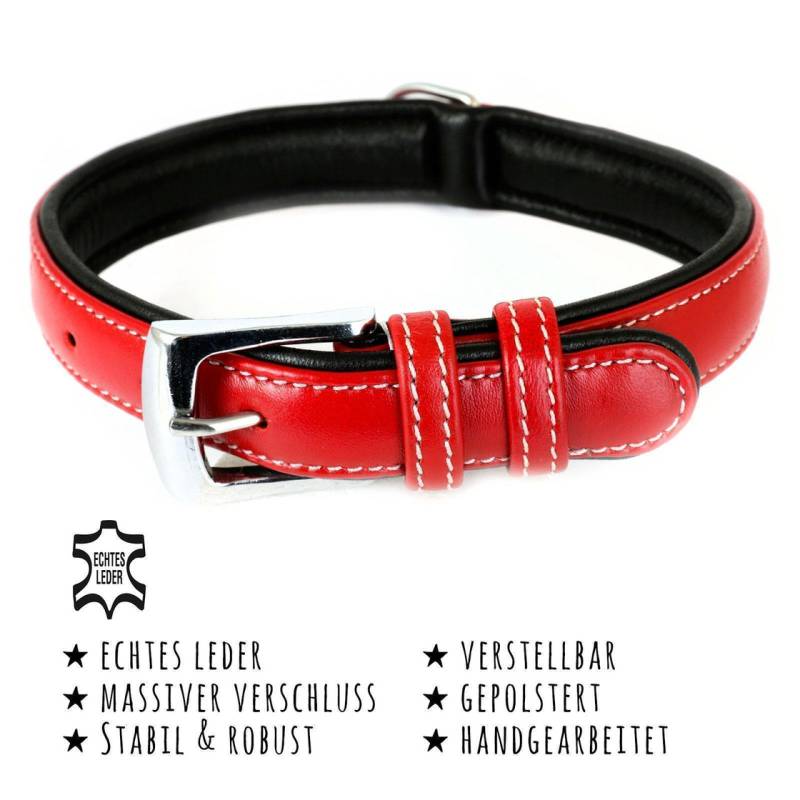 Hundehalsband aus Leder rot gepolstert XS-S