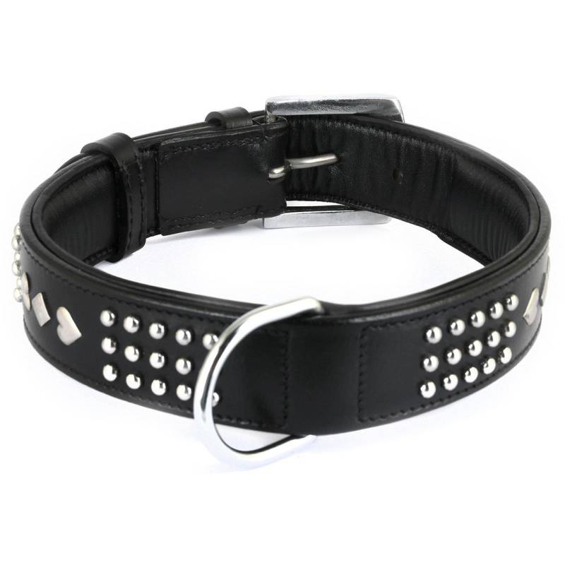 Hundehalsband aus Leder schwarz mit Nieten XS-S
