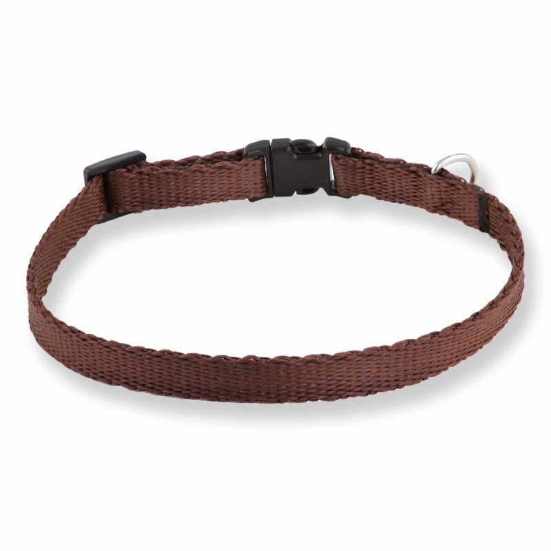 Hundehalsband aus Nylon