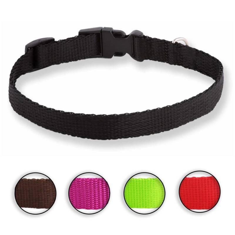 Hundehalsband aus Nylon